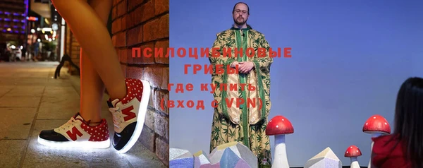 тгк Бронницы