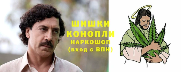 тгк Бронницы