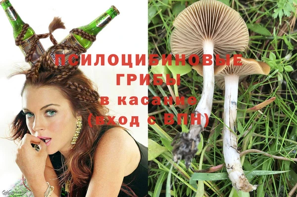 амф Бугульма