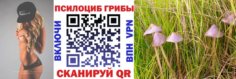 Псилоцибиновые грибы мухоморы  Купить  Свирск 